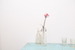 Image of winter flower