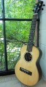 Image of Moku MST-85 Spruce/Rosewood Tenor