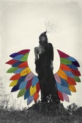 Image of Winged 19 x 26