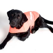 Image of FLO-ORANGE | SIZE: MEDIUM