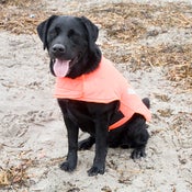 Image of FLO-ORANGE | SIZE: SMALL