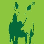 Image of PRIMO - Lime