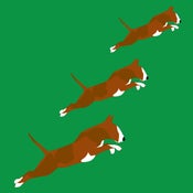 Image of FLYING DOG