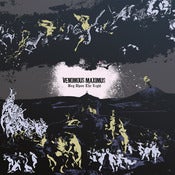 Image of BEG UPON THE LIGHT - LP