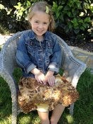 Image of Fall Scalloped Mini