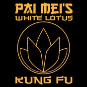 Image of Your So Called Kung Fu is Quite Pathetic
