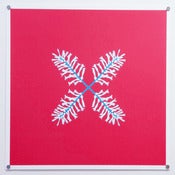 Image of Bromeliad (Watermelon/Aquatic Blue)