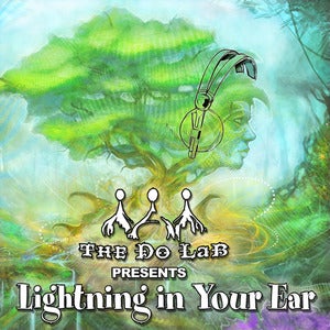 Image of Lightning In Your Ear - LIB Artist Compilation CD
