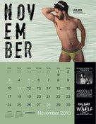 Image of BLOWOUT: Alex Di Dio Signed "The Men of 2013 : Los Angeles" 13-Month Calendar