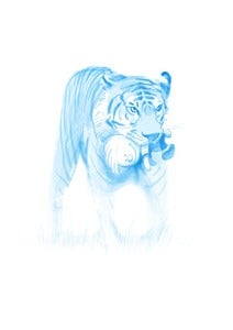 Image of A Tiger And His Boy (signed print)