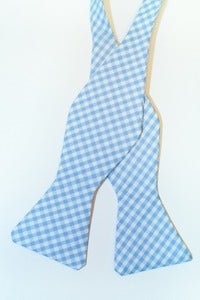 Image of Baby Blue Gingham