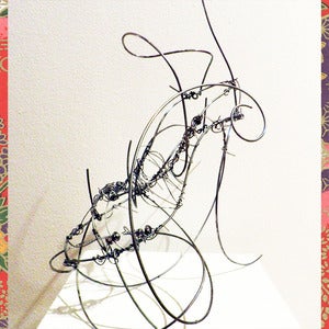 Image of Wire Shoe