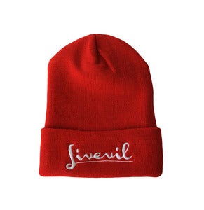 Image of Script Fold Beanie Cherry
