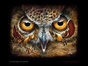 Image of Timeless Wisdom- Print