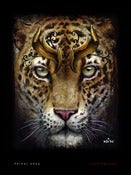 Image of Primal Urge- Print