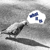 Image of CD - What It Is