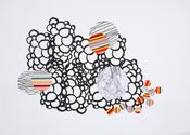 Image of circulos