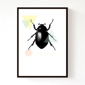 Image of Beetle Geo (A4)