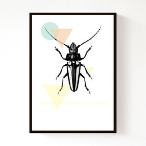 Image of Bug Geo (A4)