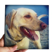 Image of Custom Trivet