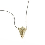 Image of brass cod bone on 20” silver cable-chain (P55silbra20)