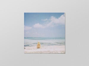 Image of beach daze