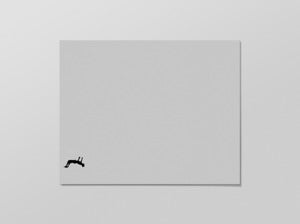 Image of flip