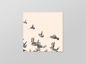 Image of fly away