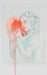 Image of Ali Helnwein - Strange Creations (2012)