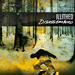 Image of Illithed "Disassembled" CD