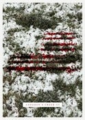 Image of Assassin's Creed III poster