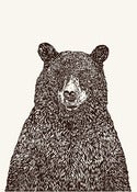 Image of BIG BEAR