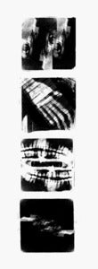 Image of Haunted! - White Noise - Adam Maida