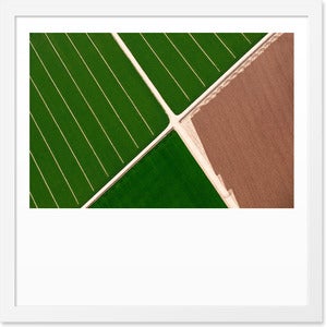 Image of Arizona