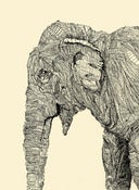 Image of Elephant Print