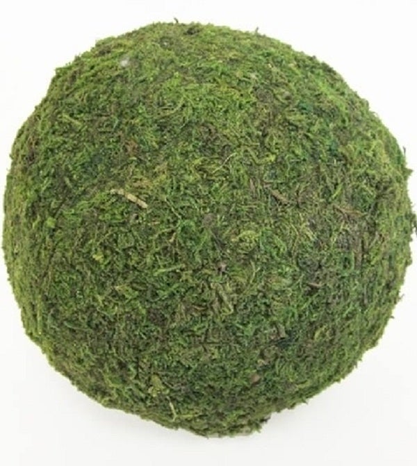 moss balls decorative