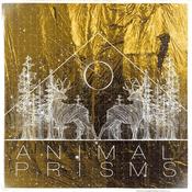 Image of Animal Prisms Vinyl OR CD