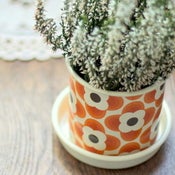 Image of Small Plant Pot by Orla Kiely
