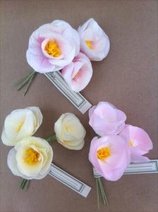 Image of Begonia Bundles