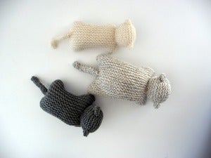 Image of chat (taille 2)