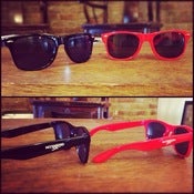 Image of Mockingbird Sun Sunglasses