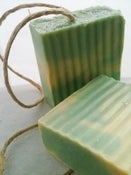 Image of Lime Orange Bar