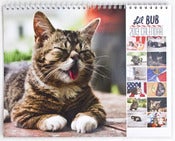 Image of Lil BUB's 2013 Calendar! 
