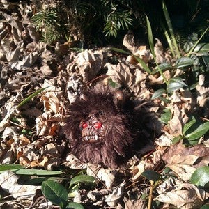 Image of Grizzlor, the mini furred beastie!
