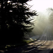 Image of Lonely Roads (8 x 10)