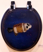 Image of “SKULL IN ORBIT SEAT” - DAVE TREE