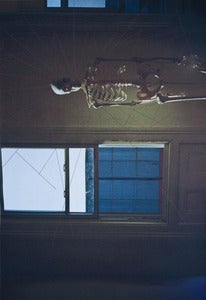 Image of skullz