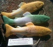 Image of "The Catch of the Day" - 3 TROUT SPECIAL