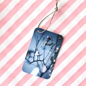 Image of 5 Étiquettes cadeaux "Joyeux Noël"