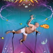 Image of The capture "big size" 111x206cm